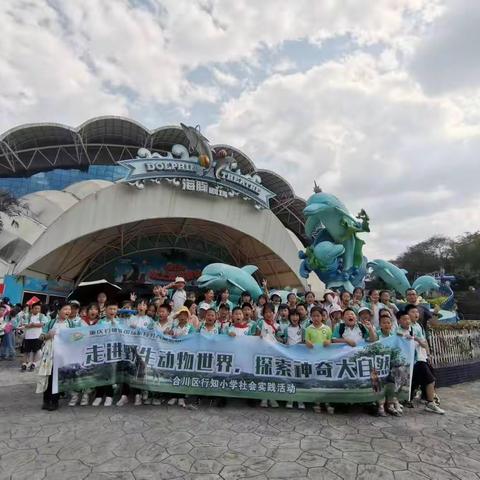 合川区行知小学春季社会实践活动【三年级】“走进野生动物世界，探索神奇大自然”——乐和乐都