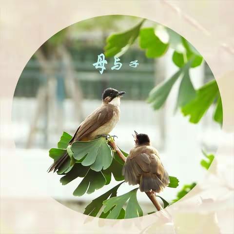 母与子