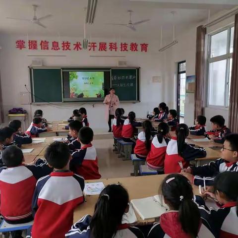 综合实践课《奇妙的水果》课题生成课——城郊乡崛山小学  公志兴