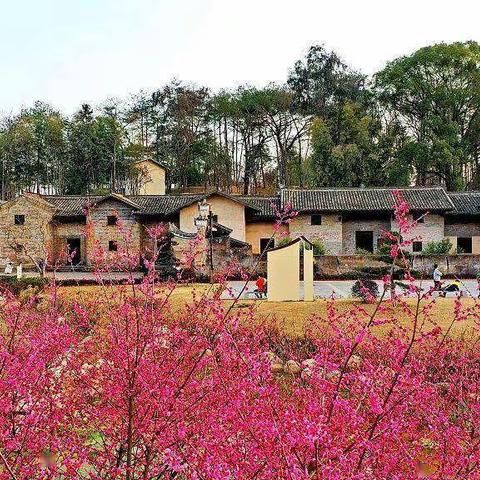 会昌县第三小学走进"风景独好园"开展党史学习教育