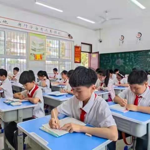 耕耘有时  收获已至
 ——驻马店市第二十七小学举行本学期期末素质测