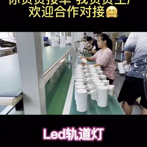 十年灯具厂家，轨道灯厂家欢迎合作