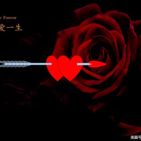 爱像古老书籍里的尘埃