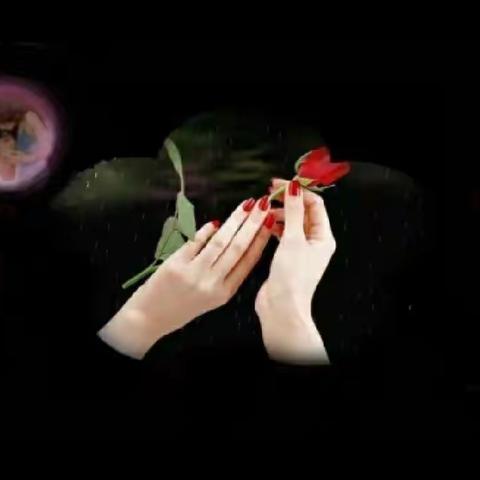 半生，浮华梦，执念成殇