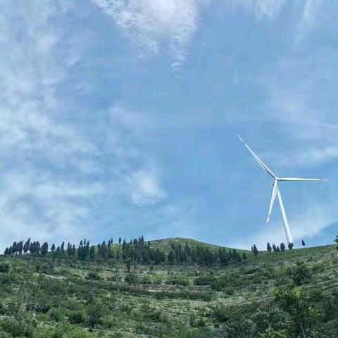 爱她如七月流火