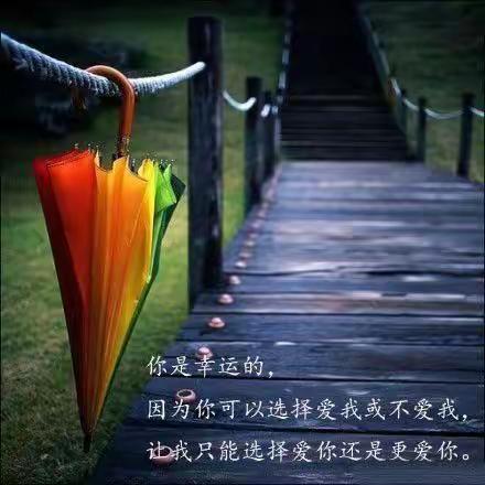 我想给你幸福，却走不进你的的世界