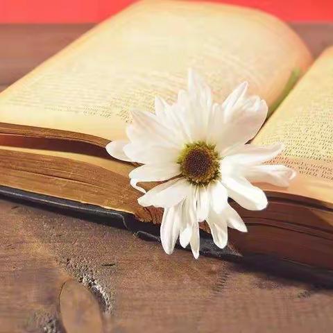 【书香润童年       阅读伴成长  】             ———张庄镇留田联小四年级《十万个为什么》读书交流会