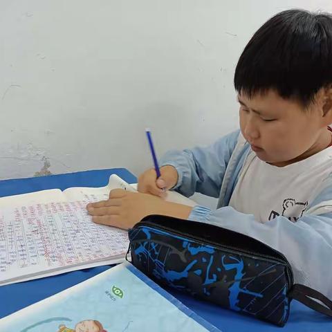 小小“动物园”