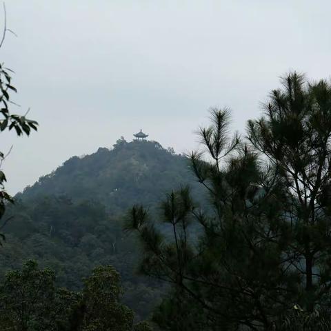 2017年3月11日 环西湖群山经典徒步路段 ”龙井—五云山—虎咆”