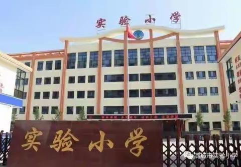 精钻细研强本领，线上云端话共育                              ——实验小学五六班语文、道法线上学习阶段小结