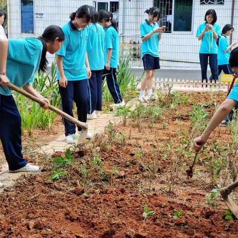 广东省连州卫生学校劳动教育基地收获