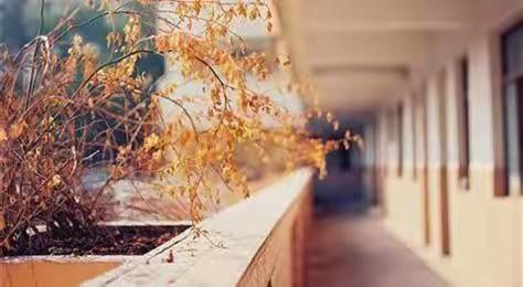 用心传承经典，用行成就未来——溧小非遗“竹马舞”展示