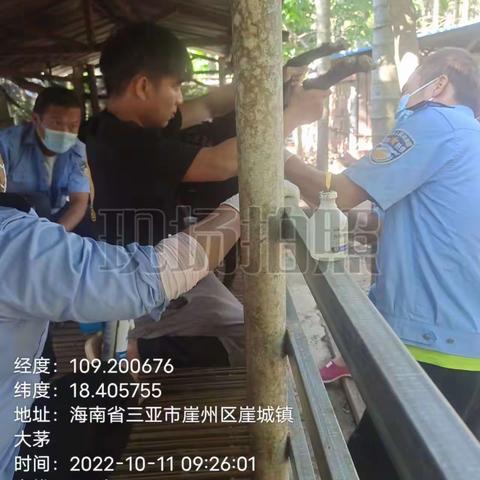 崖州区农业农村局崖城一片区动物防疫员在北岭村秋防免疫