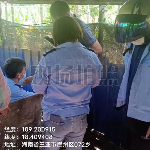 崖州区农业农村局崖城一片区动物防疫员在北岭村秋防免疫