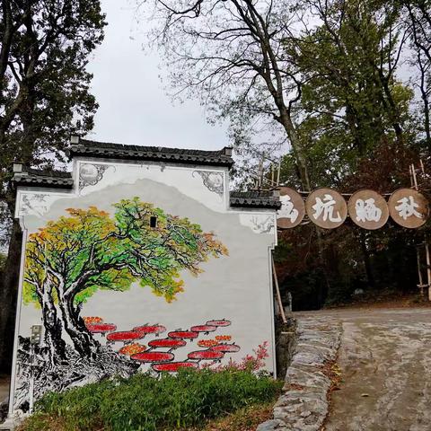 2022年10月秋游牯牛降（下）