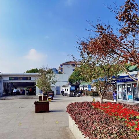 2022年11月26日川沙古镇游