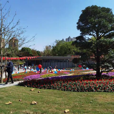 2022年10月公园秋景