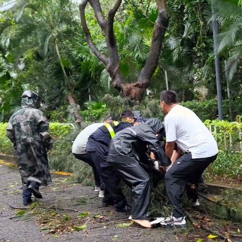 小小网格  大大的力量