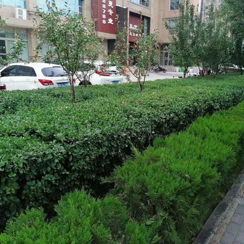 我的八月一日