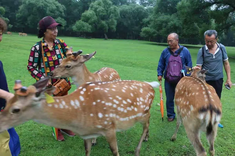 游平山皇家鹿苑！