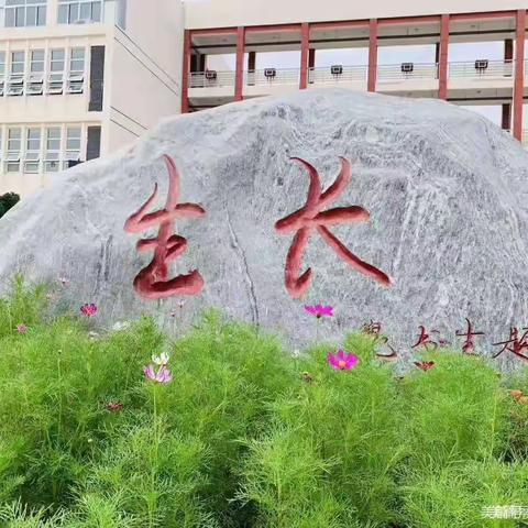 线上教学，同样精彩                                郸城县第二实验小学线上教学教研工作剪影