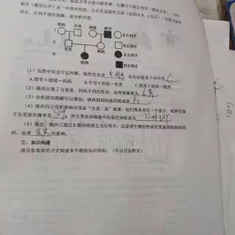 作业