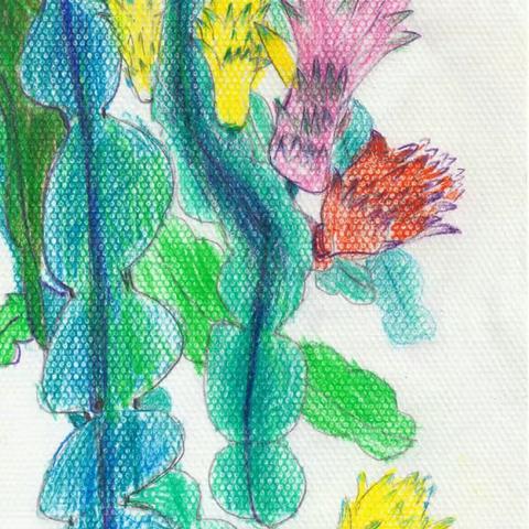 关爱特殊儿童——莫键（作品：剑花）