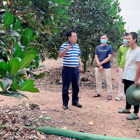 县热作中心：开展防风抗涝技术指导 做好台风防范工作 确保农业生产安全