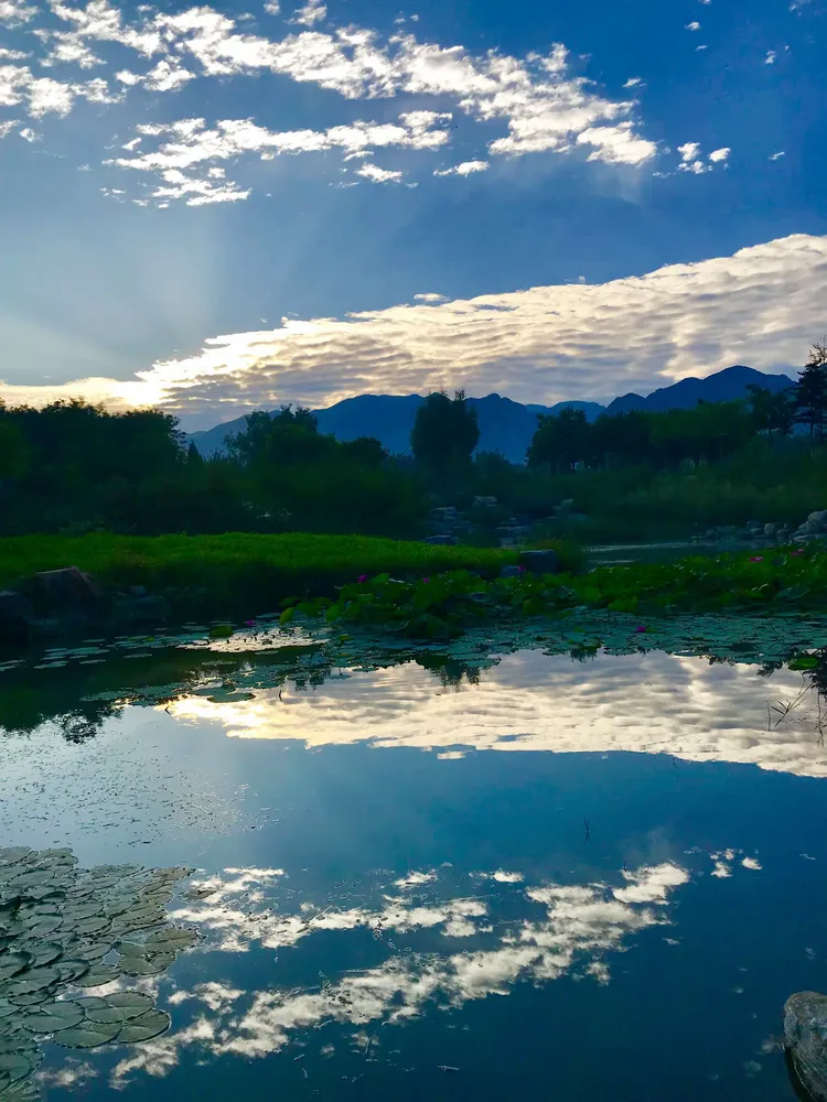 眼里有景处处都是景
