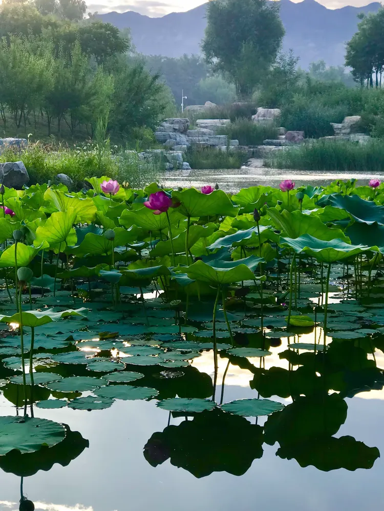 眼里有景处处都是景