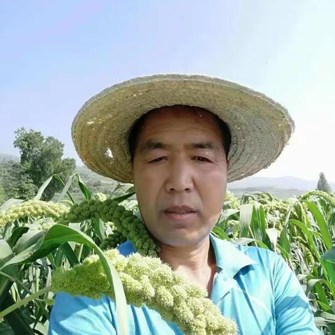 乡宁县四季青农场