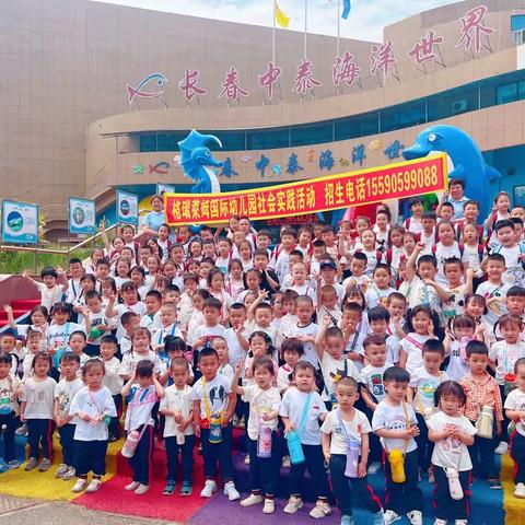 格瑞莱姆幼儿园海鸥班——🐬相约海洋馆，探索海洋梦