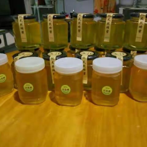 长白山雪蜜――椴树蜜 我们只做良心的事业