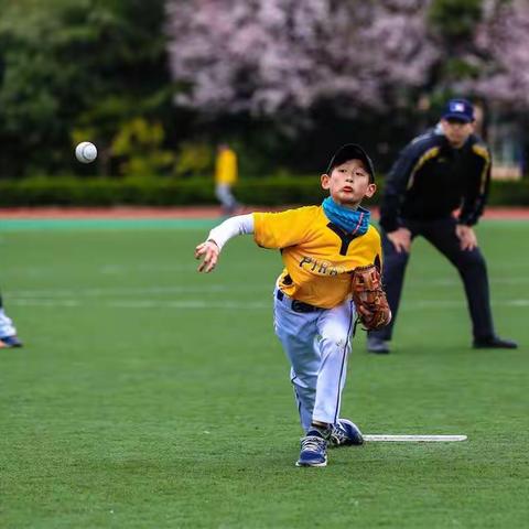 华侨摄协青少年分会组织会员在杨思高级中学拍摄2018年MLB PLAY BALL美国职业棒球大联盟青少年棒球联赛活动