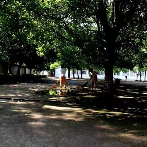 校园是我家，卫生靠大家——记武阳中学七八班暑期校园清扫活动