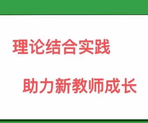 理论结合实践，助力新教师成长——大洋乡新教师培训活动