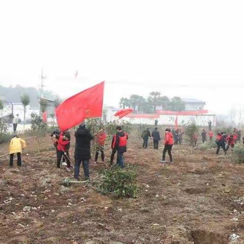 我们一起栽棵树，共同筑梦致富路