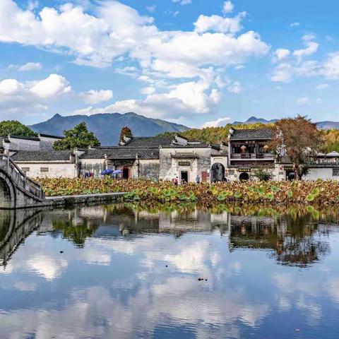 宏村印象——陈慧菁游记