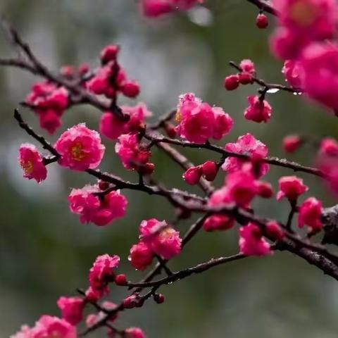 战“疫”进行时，停课不停学