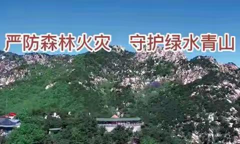 严防森林火灾  守护绿水青山