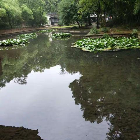 浙江诸暨蔡氏庄国老同事三日游之二