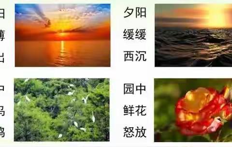 现场观察，融情于景