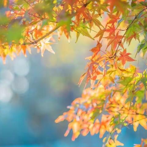 岁寒  时深  添衣 安康