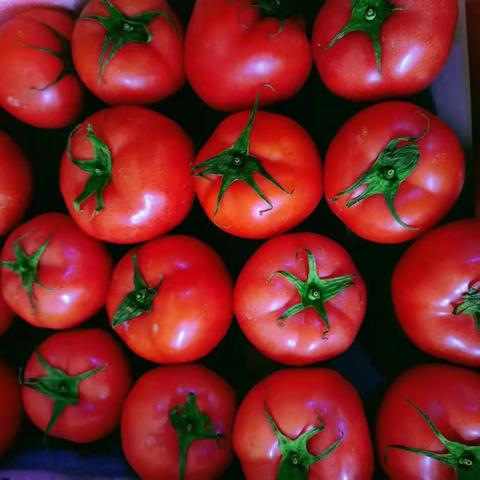 华联品鲜汇生活超市（东益店）周三周四会员日（6月7日——6月8日）