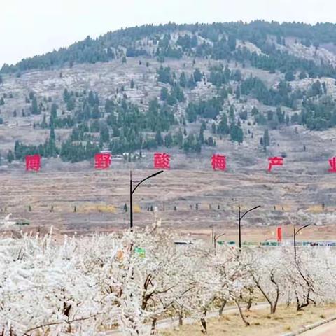 山东千博生物打造“田园综合体”，“农文旅”发展带动乡村振兴