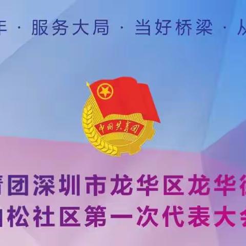 共青团深圳市龙华区龙华街道油松社区第一次代表大会圆满成功