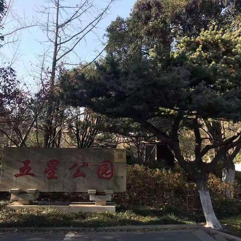 1月走园——常州五星公园