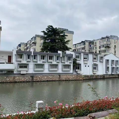 7月走园——姑苏区沿路景观