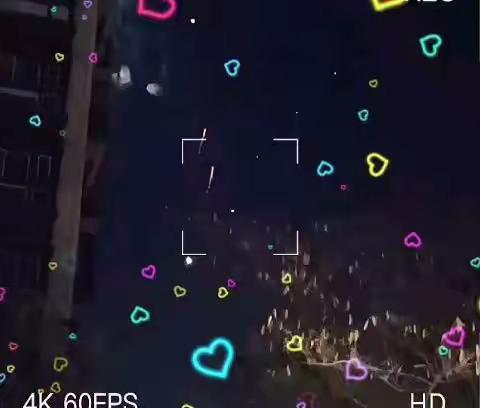 李倩的寒假生活