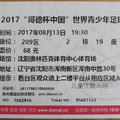 2017“哥德杯中国”世界青少年足球赛在沈阳开赛